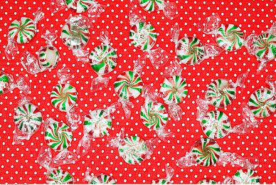 国产大作《湮灭之潮》新艺术图 女主面对枯树古堡