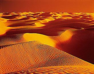 《Apex英雄》Xbox部分玩家利用漏洞致服务器崩溃