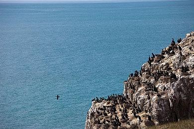 《隐秘的原罪》原班人马打造 《面具古墓》今日Steam发售